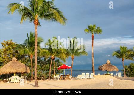 Liegestühle unter Sonnenschirmen an sonnigen tropischen Strand in Florida Keys Stockfoto