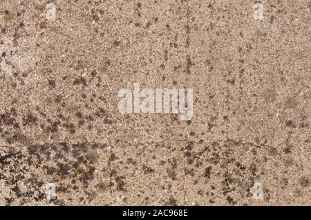Alte raue Textur, rauen Beton wand Nahaufnahme. Zusammenfassung Hintergrund. Betonwand texturiert. Stockfoto