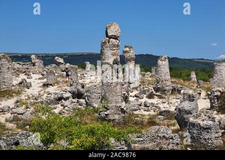 Varna/Bulgarien - 16 Jun 2015: Stone Forest, Pobiti Kamani in Varan, Bulgarien Stockfoto