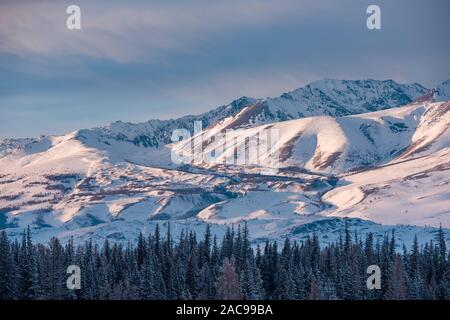 Schöne Winterlandschaft mit Schnee und Morgen in den Bergen Stockfoto