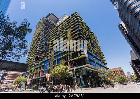 Allgemeine Ansichten mit einem zentralen Park, um Chippendale Grün, Sydney gebaut wird. Das Gebäude selbst wurde vom award-winning Pariser arc Stockfoto