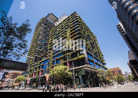 Allgemeine Ansichten mit einem zentralen Park, um Chippendale Grün, Sydney gebaut wird. Das Gebäude selbst wurde vom award-winning Pariser arc Stockfoto