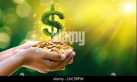 Hand Münze Baum der Baum wächst auf dem Stapel. Geld sparen für die Zukunft. Investment Ideen und das Wachstum der Unternehmen. Grüner Hintergrund mit bokeh Sun Stockfoto