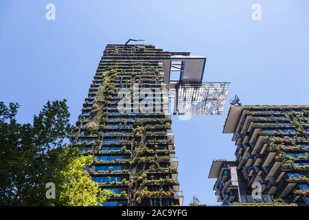 Allgemeine Ansichten mit einem zentralen Park, um Chippendale Grün, Sydney gebaut wird. Das Gebäude selbst wurde vom award-winning Pariser arc Stockfoto