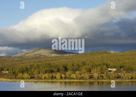 Herbst Landschaft, herbstlandschaft, fokstumyra, Oppland, Norwegen, Norwegen, Nordeuropa, Nordamerika Europa, Stockfoto
