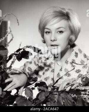 Heidelinde Weis, österreichischen Fictitious character, Deutschland 1960er Jahre. Österreichische Schauspielerin Heidelinde Weis, Deutschland der 1960er Jahre. Stockfoto