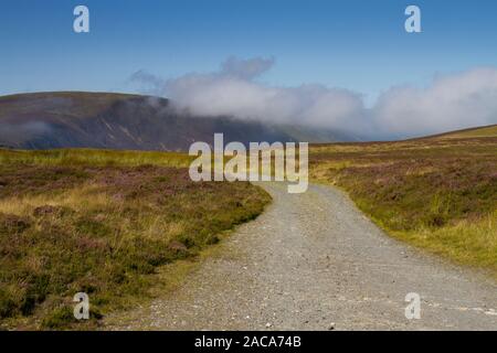 Blick auf den Weg durch das Moor mit Heidekraut (Calluna vulgaris) Blüte. Glaslyn, Powys, Wales. August. Stockfoto