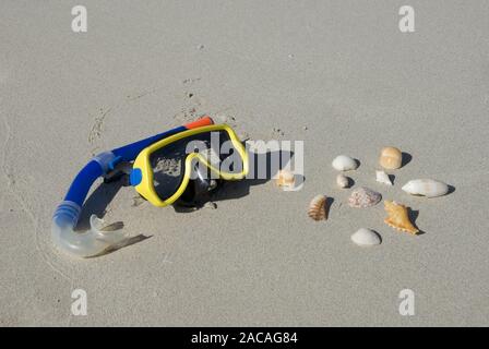 Taucherbrille und Muscheln am Strand Stockfoto