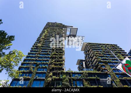 Allgemeine Ansichten mit einem zentralen Park, um Chippendale Grün, Sydney gebaut wird. Das Gebäude selbst wurde vom award-winning Pariser arc Stockfoto