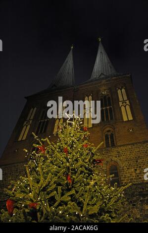 Weihnachtsbaum vor der Türme der Nikolaikirche im Nikolaiviertel in Berlin Stockfoto