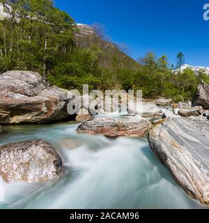 Bunte Fluss Verzasca im Kanton Tessin in der Schweiz im Frühling, blauer Himmel, grüne Bäume Stockfoto