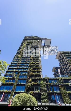 Allgemeine Ansichten mit einem zentralen Park, um Chippendale Grün, Sydney gebaut wird. Das Gebäude selbst wurde vom award-winning Pariser arc Stockfoto