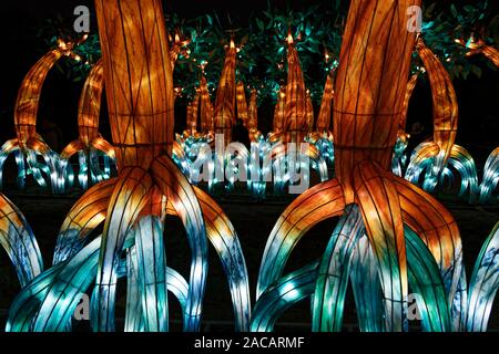 Paris, Frankreich. 1. Dez, 2019. 'Ozean auf dem Weg zur Erleuchtung", Festival der Lichter von Jardin des Plantes in Paris, Frankreich. Stockfoto