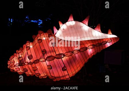 Paris, Frankreich. 1. Dez, 2019. 'Ozean auf dem Weg zur Erleuchtung", Festival der Lichter von Jardin des Plantes in Paris, Frankreich. Stockfoto