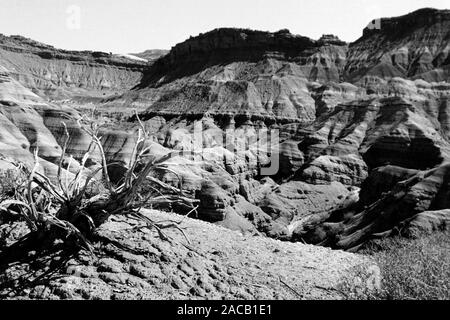 Unterwegs im Grenzgebiet Utah - Arizona, 1960er. Roadtrip rund um den Utah - Arizona Borderline, 1960er Jahre. Stockfoto