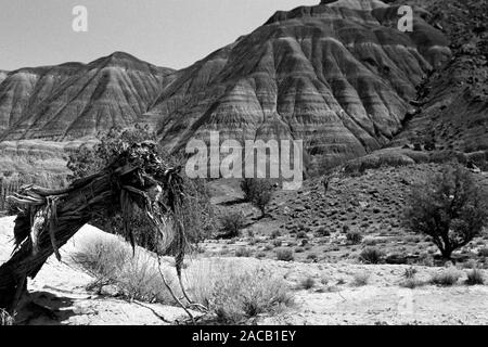 Unterwegs im Grenzgebiet Utah - Arizona, 1960er. Roadtrip rund um den Utah - Arizona Borderline, 1960er Jahre. Stockfoto