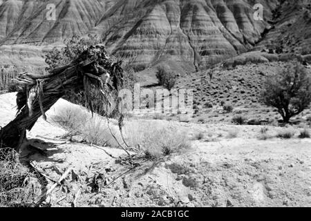 Unterwegs im Grenzgebiet Utah - Arizona, 1960er. Roadtrip rund um den Utah - Arizona Borderline, 1960er Jahre. Stockfoto