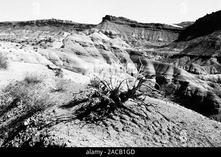 Unterwegs im Grenzgebiet Utah - Arizona, 1960er. Roadtrip rund um den Utah - Arizona Borderline, 1960er Jahre. Stockfoto