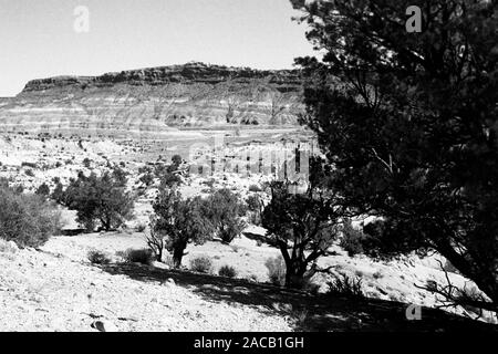 Unterwegs im Grenzgebiet Utah - Arizona, 1960er. Roadtrip rund um den Utah - Arizona Borderline, 1960er Jahre. Stockfoto