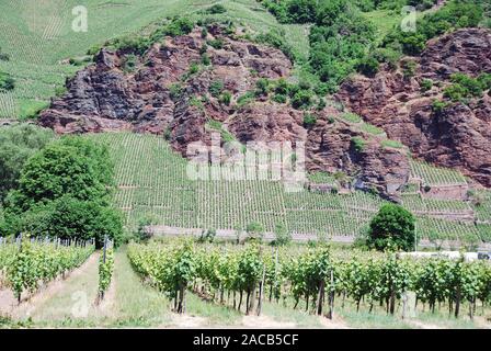 Weinbergslage und Felsen im Deutschen Weinbaugebiet Mosel, Tal der Mosel, Rheinland-Pfalz, Deutschland, Europa Stockfoto