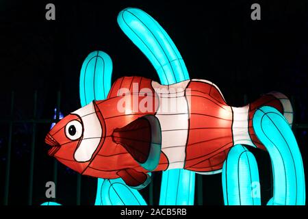 Paris, Frankreich. 1. Dez, 2019. 'Ozean auf dem Weg zur Erleuchtung", Festival der Lichter von Jardin des Plantes in Paris, Frankreich. Stockfoto