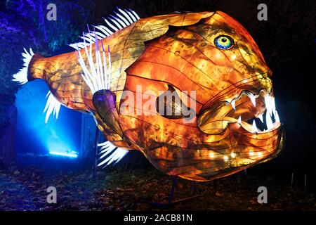 Paris, Frankreich. 1. Dez, 2019. 'Ozean auf dem Weg zur Erleuchtung", Festival der Lichter von Jardin des Plantes in Paris, Frankreich. Stockfoto