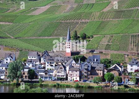 Die romantische Weinbau Dorf Zell an der Mosel, Rheinland-Pfalz, Deutschland, Europa Stockfoto