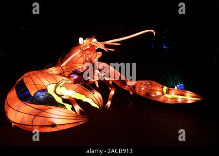 Paris, Frankreich. 1. Dez, 2019. 'Ozean auf dem Weg zur Erleuchtung", Festival der Lichter von Jardin des Plantes in Paris, Frankreich. Stockfoto