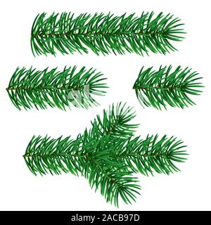 Tannenbaum Weihnachten Niederlassungen Stock Vektor