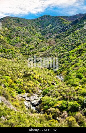 Die mittlere Gabel Kaweah River im Sequoia National Park, Kalifornien Stockfoto