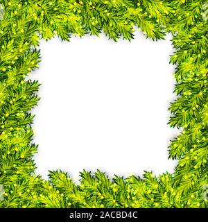 Christmas tree branches Frame Vector Hintergrund Stock Vektor