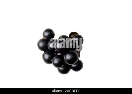Schwarze Johannisbeere isoliert auf einem weißen Hintergrund. Ansicht von oben. Johannisbeere Makro Foto. Haufen von schwarzen Johannisbeeren Berry. Stockfoto