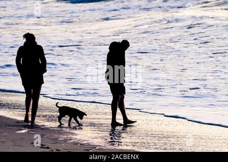 Zwei Menschen und ihre Welpen zu Fuß auf den Fistral Beach Newquay in Cornwall. Stockfoto
