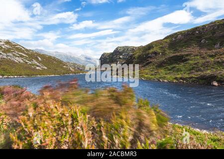 Östlichen Ufer von Loch Lomond in Rowardennan, Schottland, Vereinigtes Königreich Stockfoto