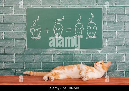 Red cat studieren die Wissenschaft von der Jagd mit Hilfe der mathematischen Beispiele. Pädagogische witz Idee Stockfoto