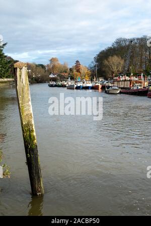 Die Themse zwischen Twickenham und Richmond, West London UK. Vom Fluss an einem klaren Winter fotografiert. Stockfoto