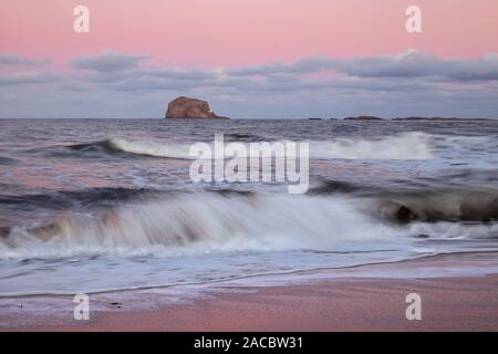 Wellen im Meer und Leuchtturm auf einer Klippe und auf eine erstaunliche rosa Sonnenuntergang. Bass Rock, Schottland, Vereinigtes Königreich Stockfoto