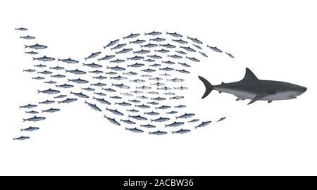 Sardinen Gruppe jagen Shark, Konzept Einheit ist Stärke, 3D-Darstellung Stockfoto