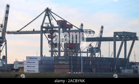 Rotterdam, Niederlande. 02 Dez, 2019. ROTTERDAM, 01-12-2019, Hafen, Industrie, Drogen, container Credit: Pro Schüsse/Alamy leben Nachrichten Stockfoto