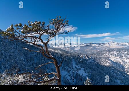 Winter in der FLATIRONS von Boulder, Colorado Stockfoto