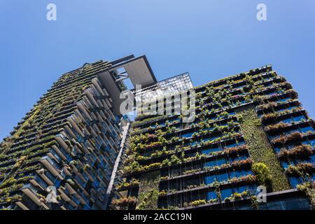 Allgemeine Ansichten mit einem zentralen Park, um Chippendale Grün, Sydney gebaut wird. Das Gebäude selbst wurde vom award-winning Pariser arc Stockfoto