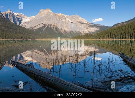 Berge und Reflexionen am Emerald Lake, Yoho-Nationalpark, Kanada Stockfoto