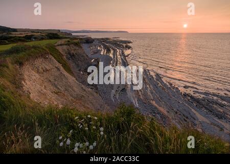 Die Klippen am Kilve Beach in der Quantock Hills National Landscape, Somerset, England. Stockfoto