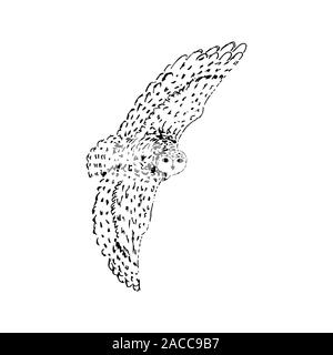 Polar Arctic White Owl. Schwarzer Umriss auf weißem Hintergrund. Bild kann in Grußkarten, Poster, Flyer, Banner, Logo verwendet werden, die weitere Gestaltung etc. Vector Illustration. EPS 10. Stock Vektor