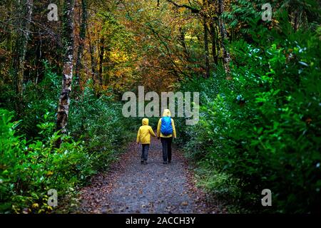 Mutter und Sohn wandern durch die Farben des Herbstes im Märchenwald, Irland Stockfoto