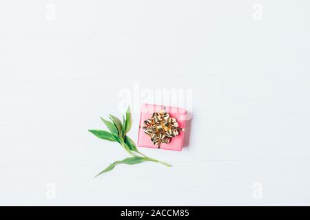 Kleine rosa Geschenkkarton mit goldenen Bogen neben frischen grünen Zweig auf weißem Hintergrund, flach. Stockfoto