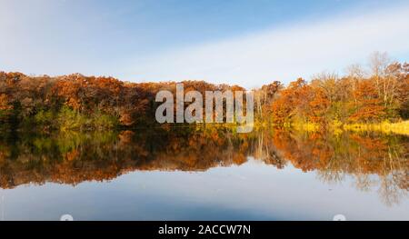 Östlichen Laubwald am See, Herbst, Minnesota, USA, von Dominique Braud/Dembinsky Foto Assoc Stockfoto