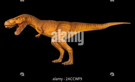 Tyrannosaurus rex ist Wandern und offenen Mund. Von der Seite. Schwarz isoliert Hintergrund. Dinosaurier in Jurassic peroid. Stockfoto