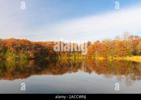 Östlichen Laubwald am See, Herbst, Minnesota, USA, von Dominique Braud/Dembinsky Foto Assoc Stockfoto