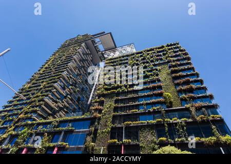 Allgemeine Ansichten mit einem zentralen Park, um Chippendale Grün, Sydney gebaut wird. Das Gebäude selbst wurde vom award-winning Pariser arc Stockfoto